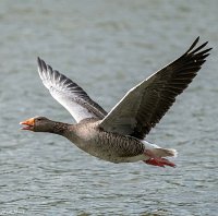 IMG_7340
