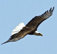 IMG_7347