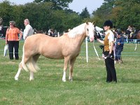 DSCF00492005_01_26_01_55_50