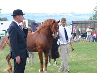 DSCF00522005_01_26_01_57_00