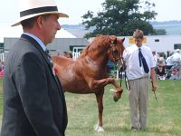 DSCF00532005_01_26_01_57_48