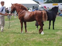 DSCF00592005_01_26_02_04_25