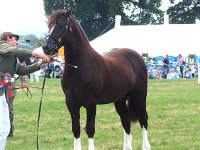 DSCF00642005_01_26_02_21_16