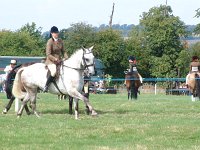 DSCF00672005_01_26_02_38_20