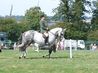 DSCF00682005_01_26_02_38_30