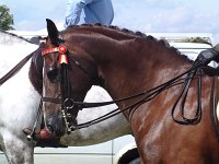 DSCF00742005_01_26_03_08_48