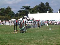 DSCF00852005_01_26_03_50_38