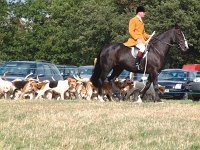 DSCF00882005_01_26_05_00_01