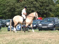 DSCF00892005_01_26_05_03_23