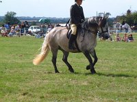 DSCF00902005_01_26_05_03_43