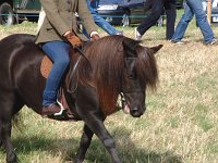 DSCF00912005_01_26_05_04_16