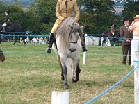 DSCF00952005_01_26_05_06_48