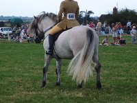 DSCF00962005_01_26_05_06_58