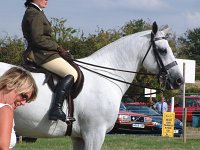 DSCF01002005_01_26_05_13_08