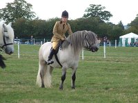 DSCF01062005_01_26_05_24_59