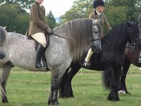 DSCF01072005_01_26_05_25_17