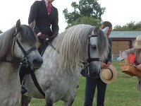 DSCF01082005_01_26_05_25_26