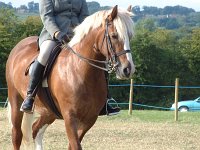 DSCF01152005_01_26_06_25_15