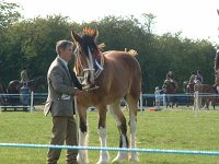 DSCF01162005_01_26_06_25_42