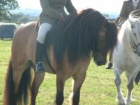 DSCF01192005_01_26_07_03_23