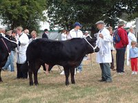 DSCF06682003_08_27_11_28_53