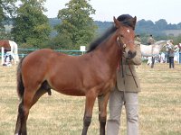 DSCF06732003_08_27_11_39_07