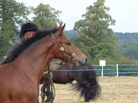 DSCF06742003_08_27_11_39_33