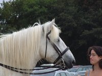 DSCF06762003_08_27_11_41_39