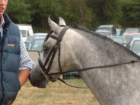 DSCF06842003_08_27_11_47_03