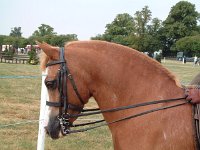 DSCF06892003_08_27_11_51_20