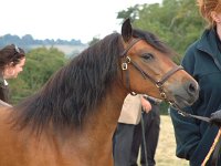 DSCF06962003_08_27_11_56_05