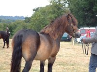 DSCF07112003_08_27_12_10_49