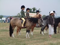 DSCF07122003_08_27_12_13_33