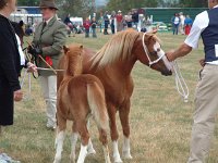 DSCF07172003_08_27_12_21_58