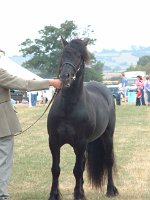 DSCF07202003_08_27_12_22_28