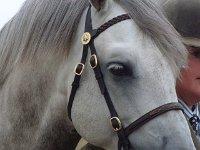 DSCF07232003_08_27_12_23_36