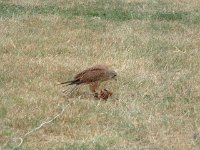 DSCF07382003_08_27_13_39_24