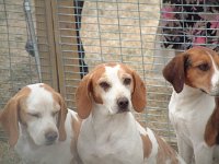 DSCF07402003_08_27_13_43_39