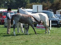 DSCF13782000_06_04_13_12_53