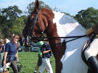 DSCF13862000_06_04_13_17_08