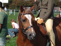 DSCF13972000_06_04_13_41_09