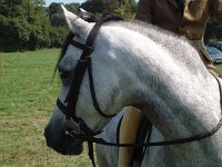 DSCF14042000_06_04_13_45_38