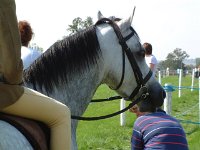 DSCF14052000_06_04_13_46_06