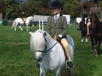 DSCF14102000_06_04_13_52_41