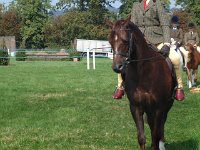 DSCF14112000_06_04_13_52_46