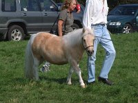 DSCF14122000_06_04_13_59_40