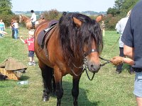 DSCF14142000_06_04_14_01_18