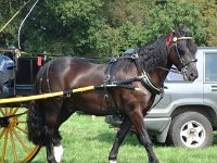 DSCF14152000_06_04_14_01_45