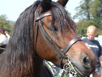 DSCF14162000_06_04_14_02_18