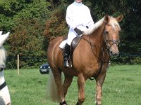 DSCF14172000_06_04_14_02_32